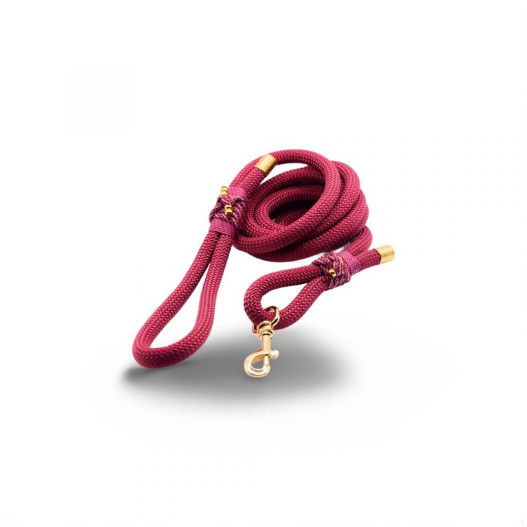 11879b53-7b5e-418b-8045-df0022c3c43a Laisse 1,50M Saint-Valentin