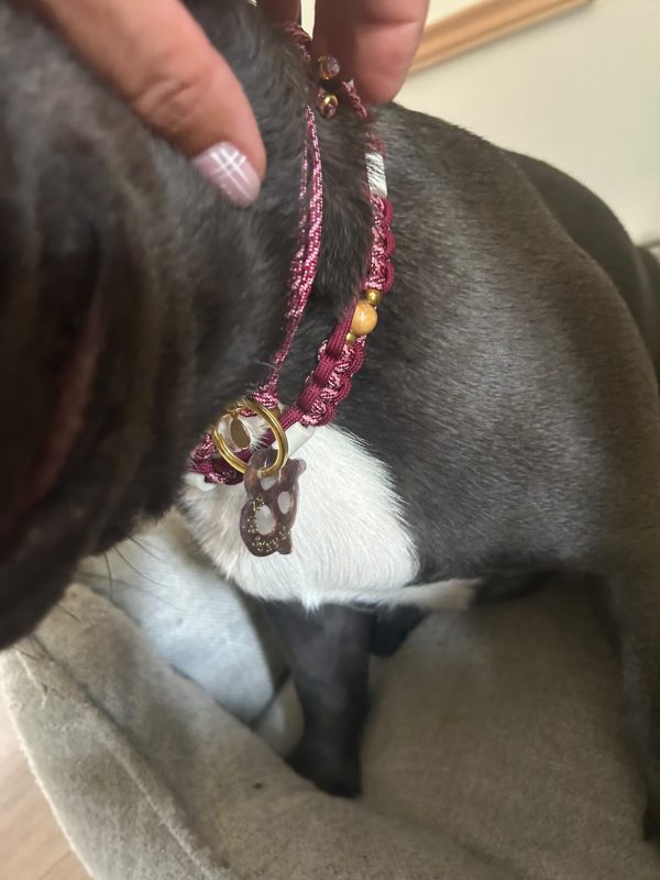 Antiparasitaire en paracorde tressée A PERSONNALISER