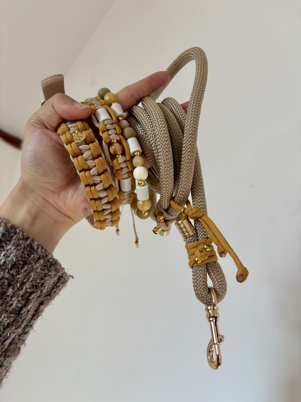 Collier pour laisse A PERSONNALISER