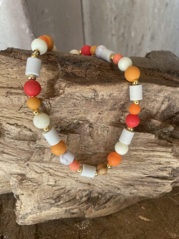 IMG_4108 Antiparasitaire en perles A PERSONNALISER