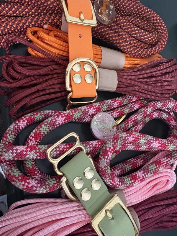 Laisse 1,50m A PERSONNALISER