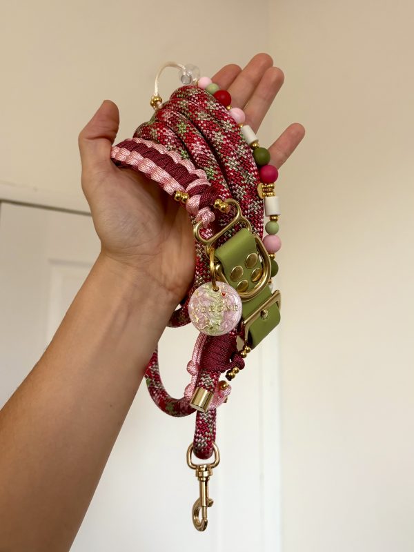 Collier pour laisse A PERSONNALISER