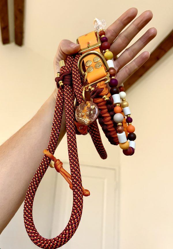 Collier pour laisse A PERSONNALISER