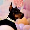 Collier Candy Crush 🍭