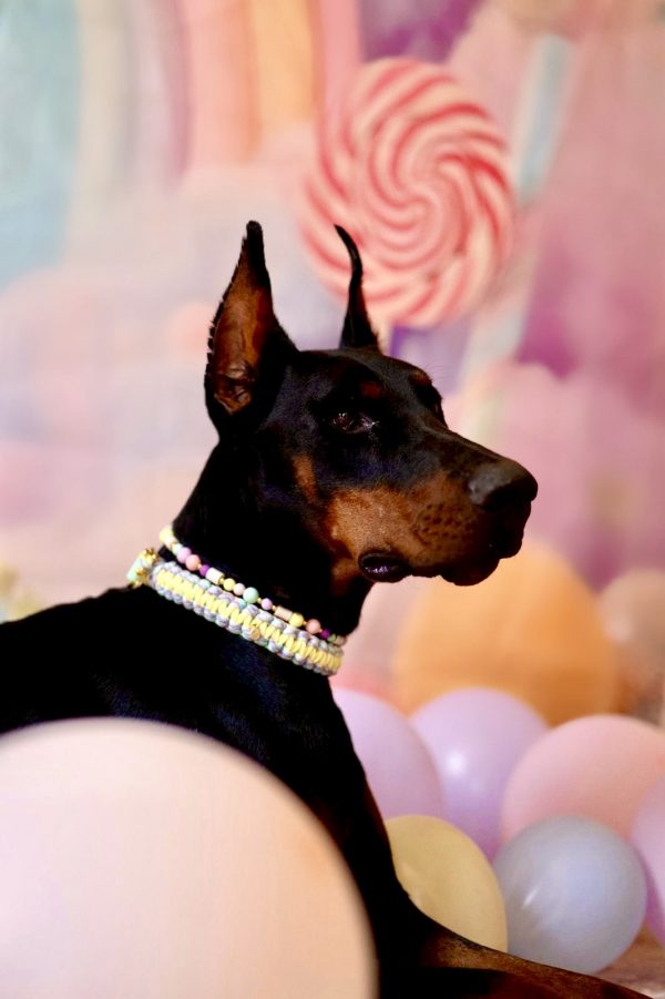 IMG_0439 Collier Candy Crush đ
