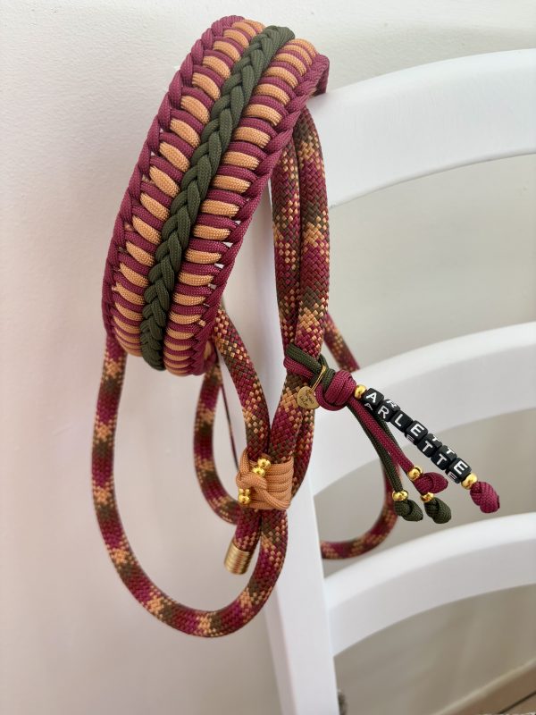 Collier&Laisse 2en1 A PERSONNALISER
