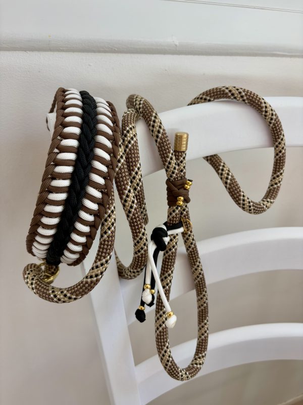 Collier&Laisse 2en1 A PERSONNALISER