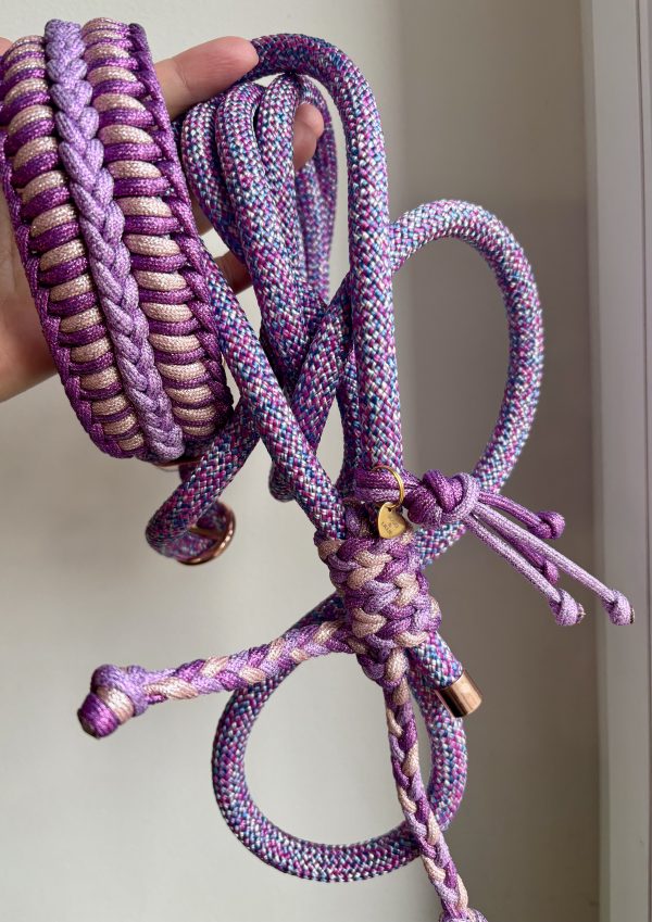 Collier&Laisse 2en1 A PERSONNALISER