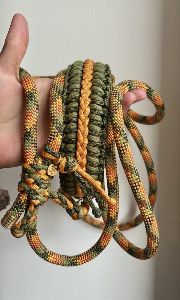 Collier&Laisse 2en1 A PERSONNALISER