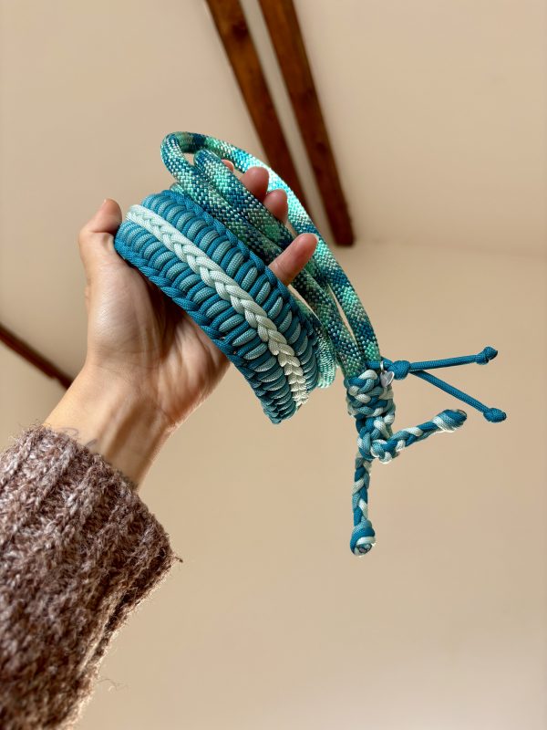 Collier&Laisse 2en1 A PERSONNALISER