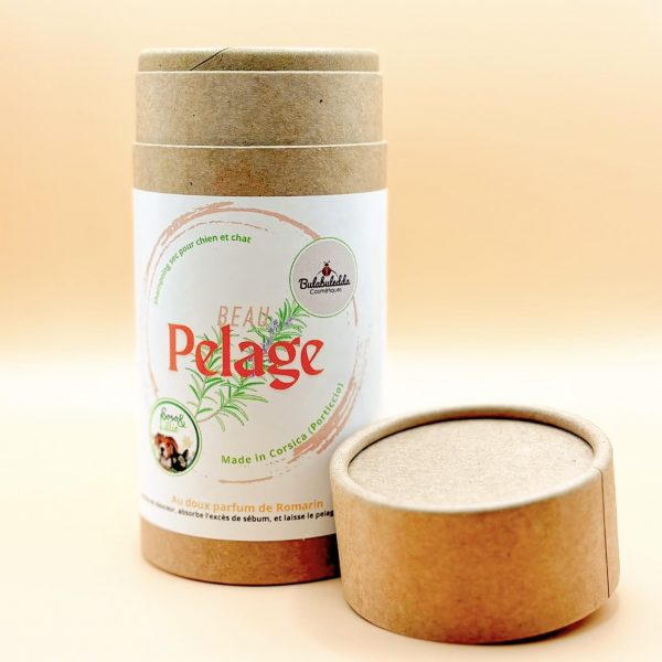 948d7ebf-1e7d-41f4-add2-4632f721d97f Shampoing sec "Beau Pelage"