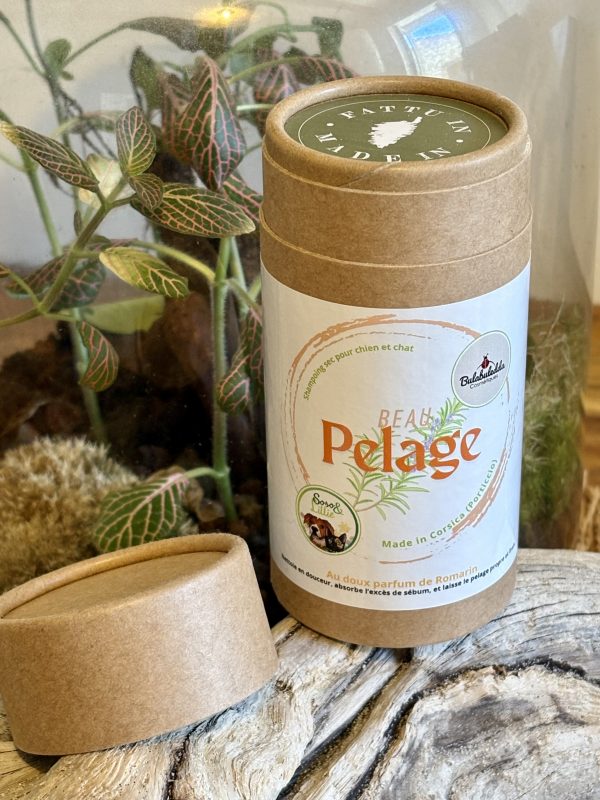 Shampoing sec "Beau Pelage"