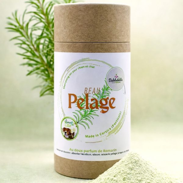 IMG_6557 Shampoing sec "Beau Pelage"