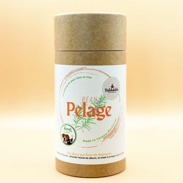 e33be4a3-1b98-4bcf-b313-bb32c8b63185 Shampoing sec "Beau Pelage"