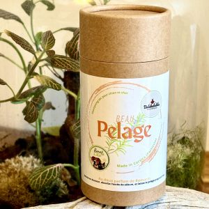 Shampoing sec "Beau Pelage"