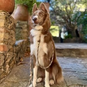 04028222-5B86-4866-94DC-9AE9E0D7B039