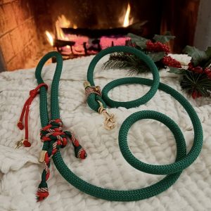 IMG_3644 Laisse 1,50M CHRISTMAS EDITION 🎅