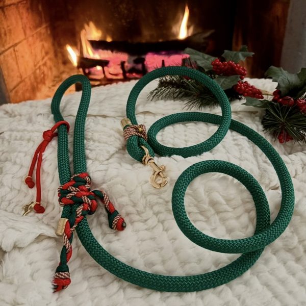 Laisse 1,50M CHRISTMAS EDITION 🎅