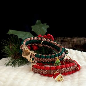 Collier pour petit chien CHRISTMAS EDITION⛄