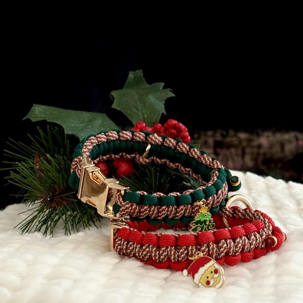 IMG_3967 Collier pour petit chien CHRISTMAS EDITION⛄