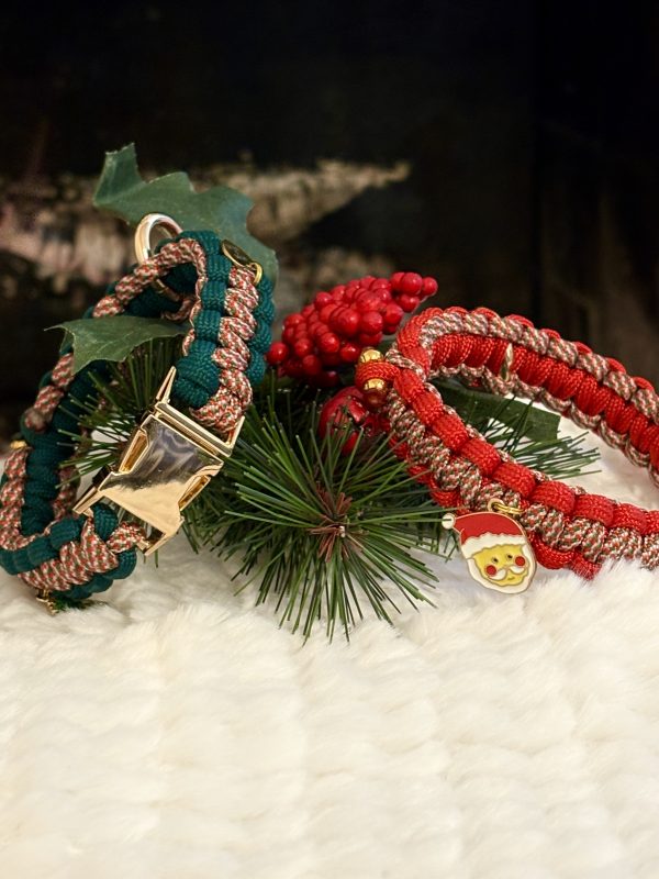 PETITS 3 Collier pour petit chien CHRISTMAS EDITION⛄