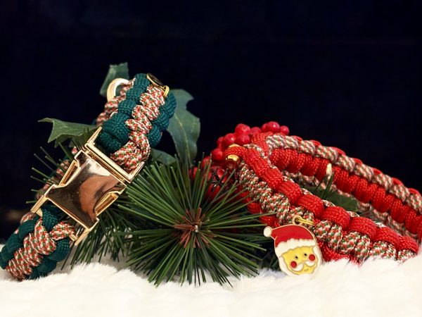 PETITS 4 Collier pour petit chien CHRISTMAS EDITION⛄