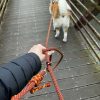 Laisse multipositions A PERSONNALISER