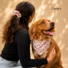 BANDANAS POUR CHIEN