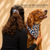 BANDANAS POUR CHIEN